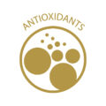 antioxidants_13_30_80_22